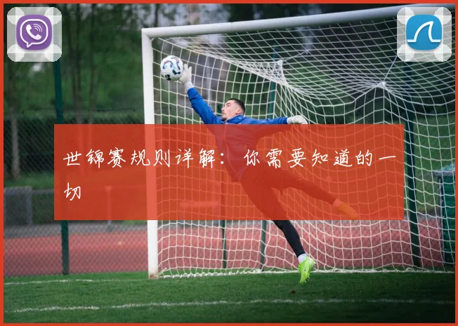 世锦赛规则详解：你需要知道的一切