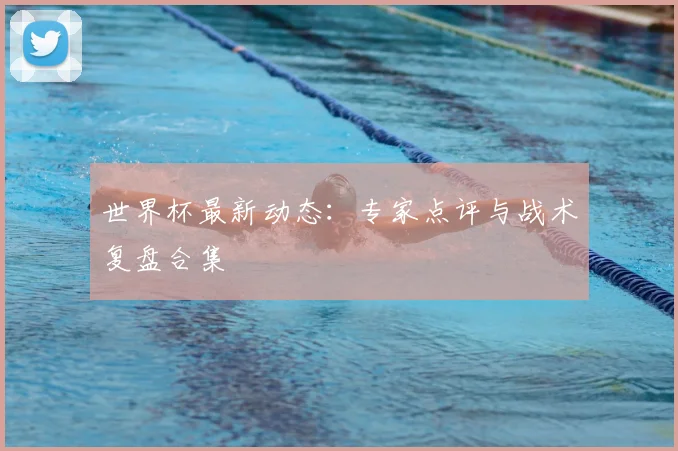 世界杯最新动态:专家点评与战术复盘合集