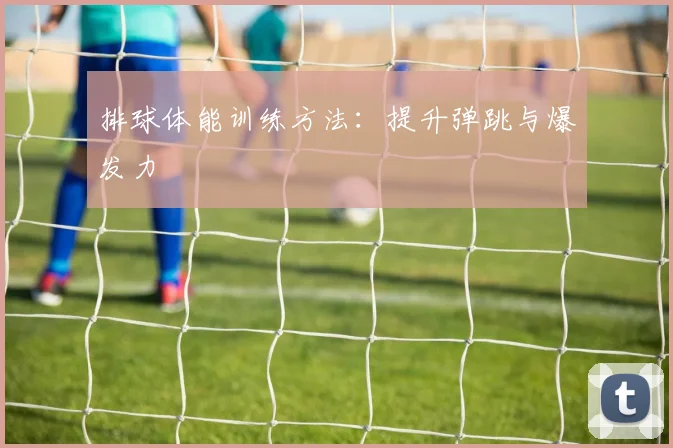 排球体能训练方法：提升弹跳与爆发力