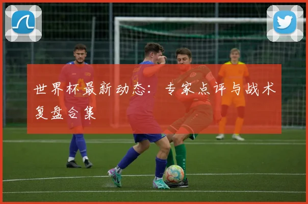 世界杯最新动态：专家点评与战术复盘合集